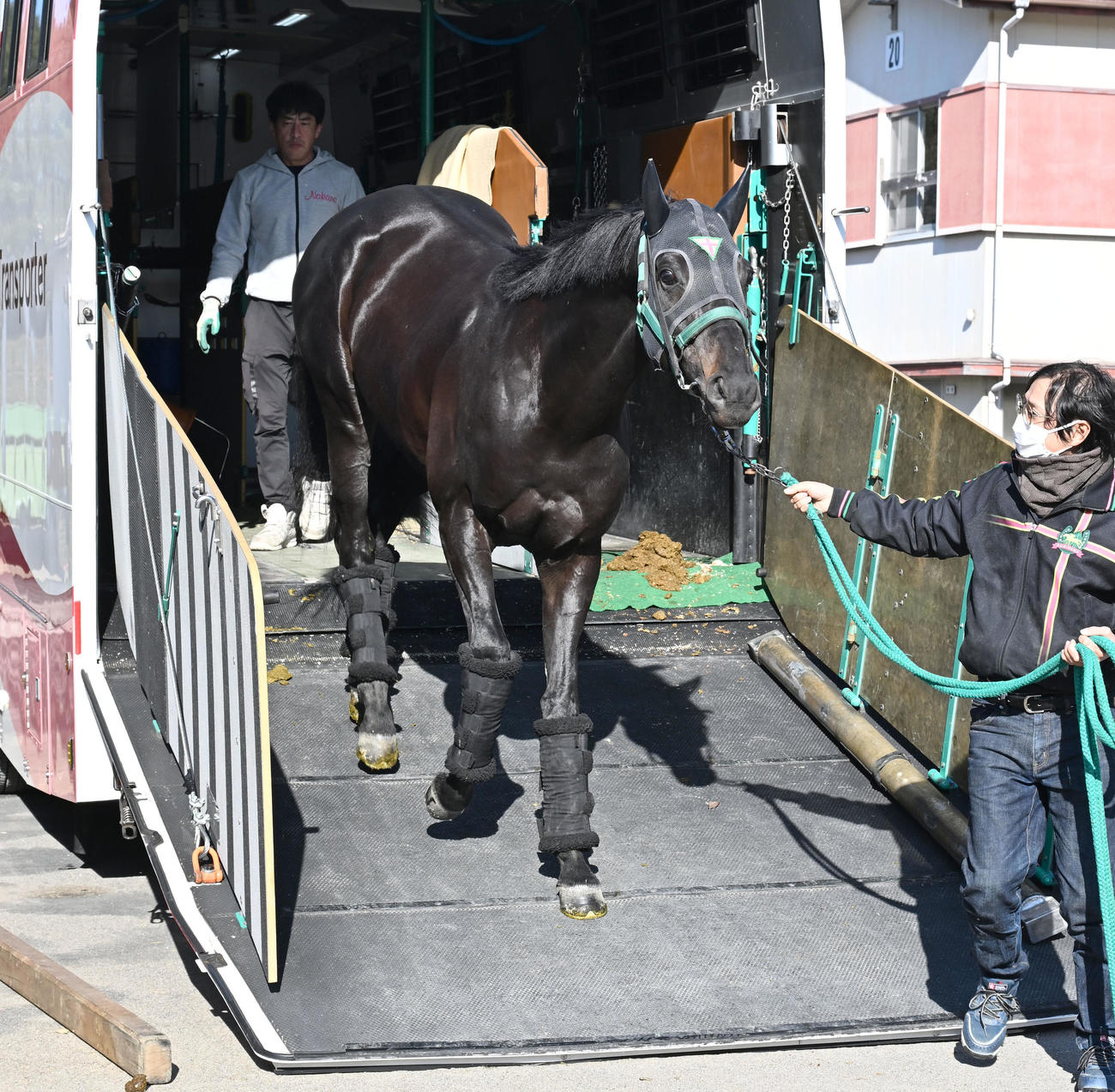 中山競馬場に到着したジャスティンパレス（撮影・千葉一成）