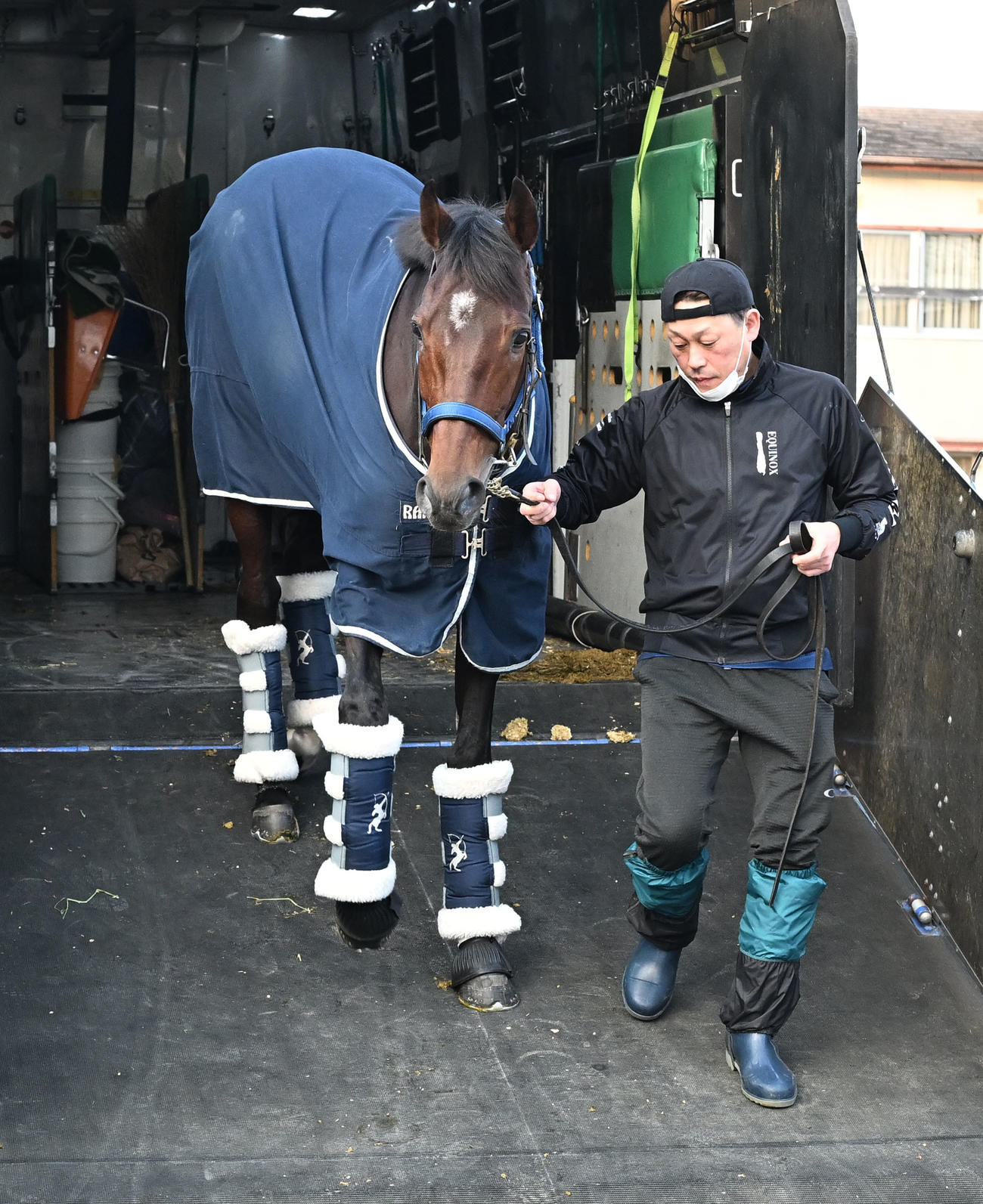 中山競馬場に到着したブローザホーン（撮影・千葉一成）