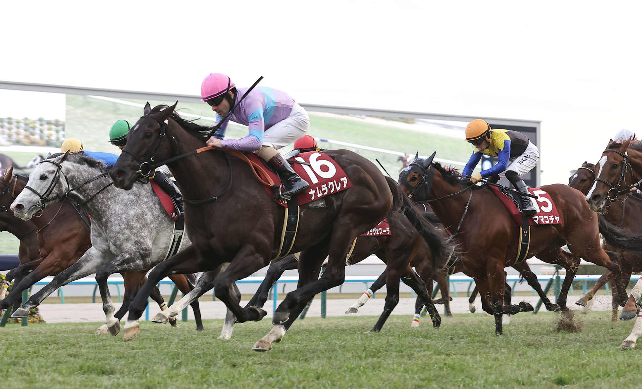 ナムラクレア（中央）は大外から差し切り、阪神Cを制した（撮影・上田博志）