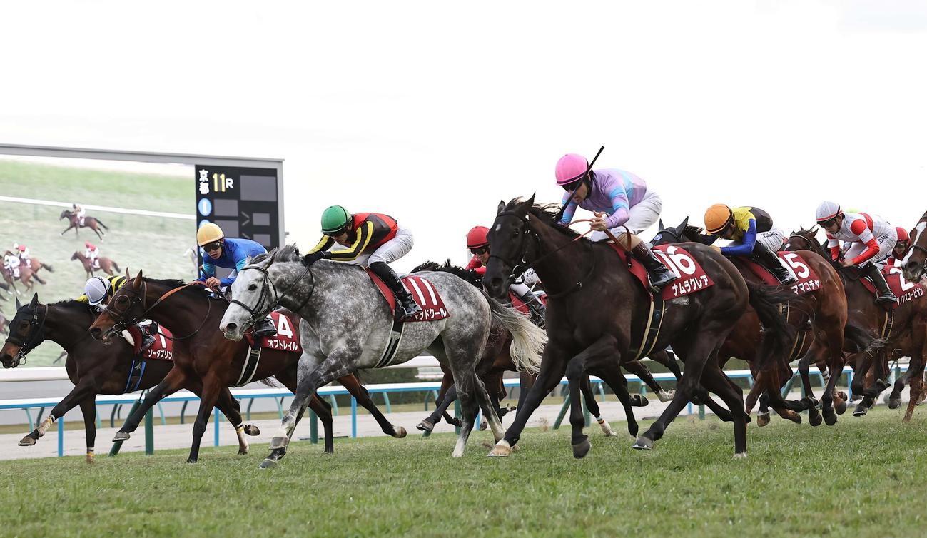 阪神Cで2着に入ったマッドクール（左から3頭目）、右は優勝したナムラクレア