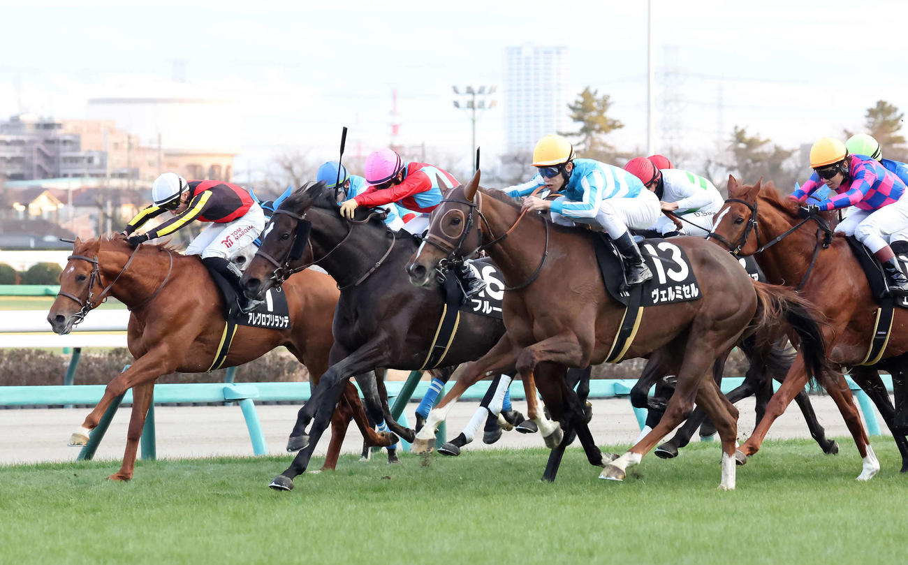中山11R、グレイトフルSを制したヴェルミセルと津村騎手（左から3頭目）（撮影・丹羽敏通）