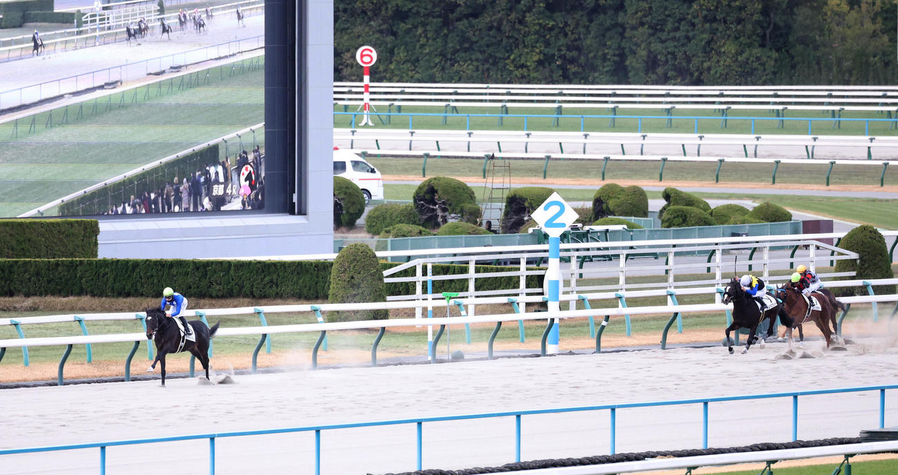 京都4R、後続に大差をつけて新馬戦を快勝したタイセイドラード（左）（撮影・白石智彦）
