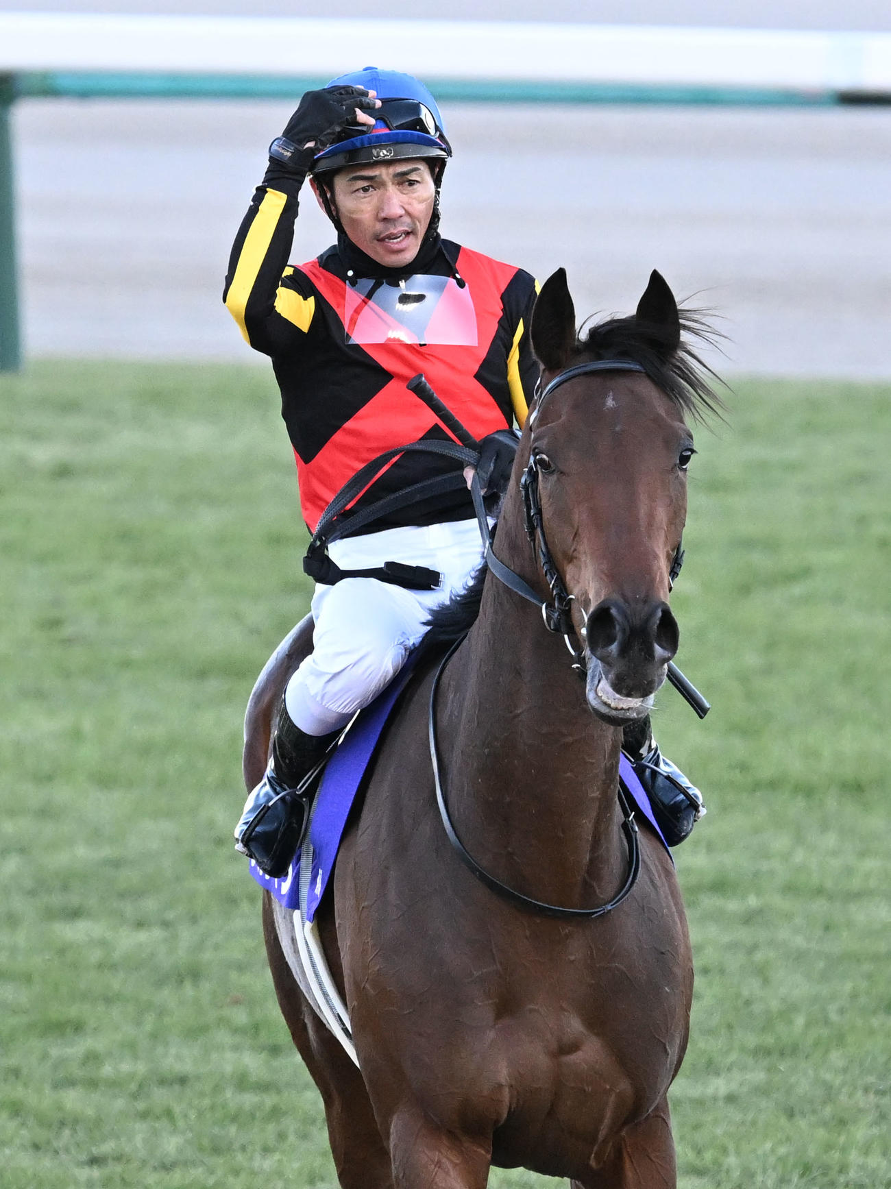 有馬記念を制したレガレイラと戸崎騎手（撮影・千葉一成）