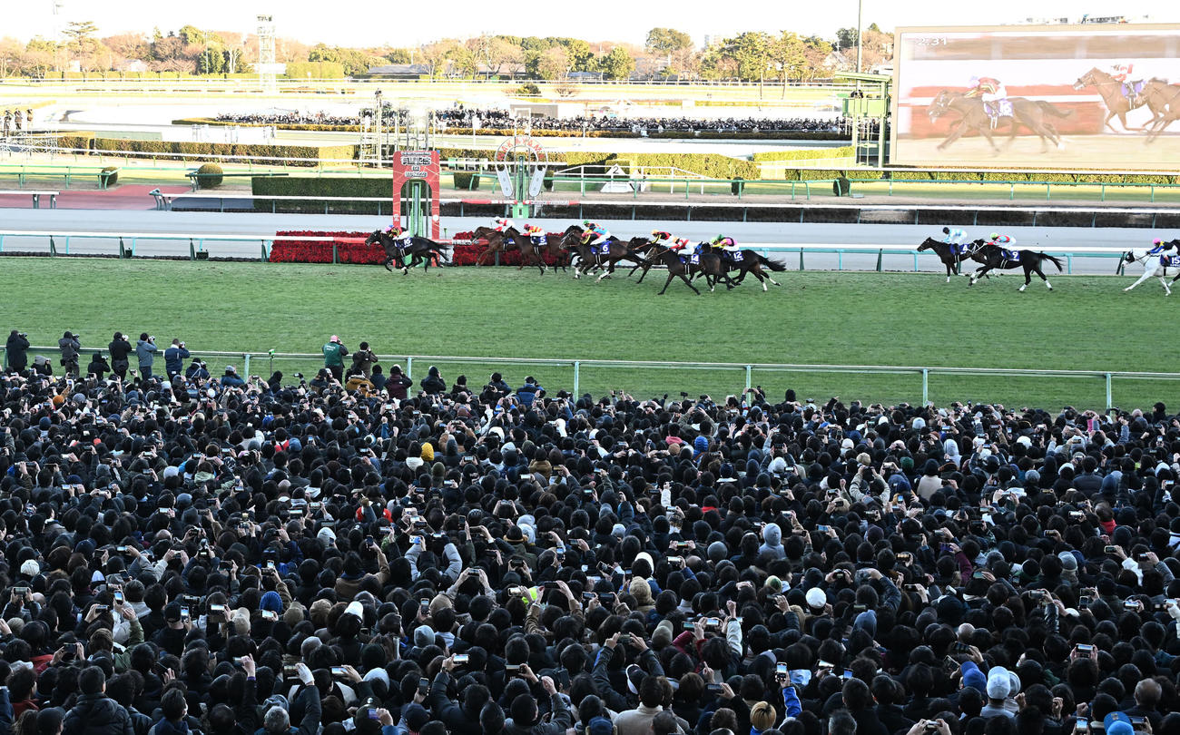 有馬記念を制したレガレイラと戸崎（左奥）。同手前は2着のシャフリヤール（撮影・千葉一成）