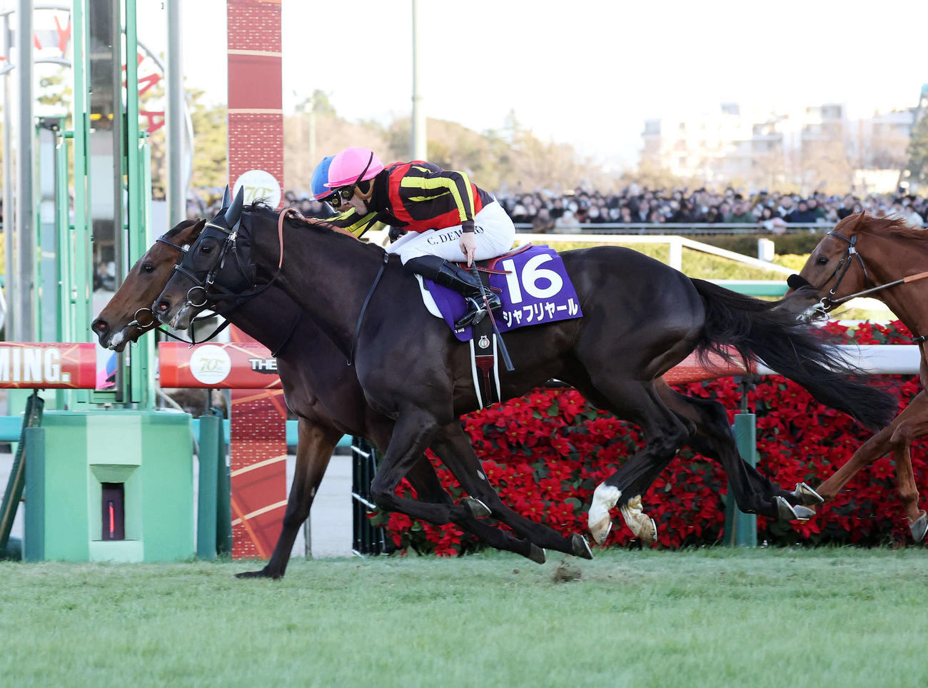 中山11R　有馬記念を制したレガレイラ（後方）と戸崎圭太騎手、手前はシャフリヤールとC・デムーロ騎手（撮影・鈴木正人）