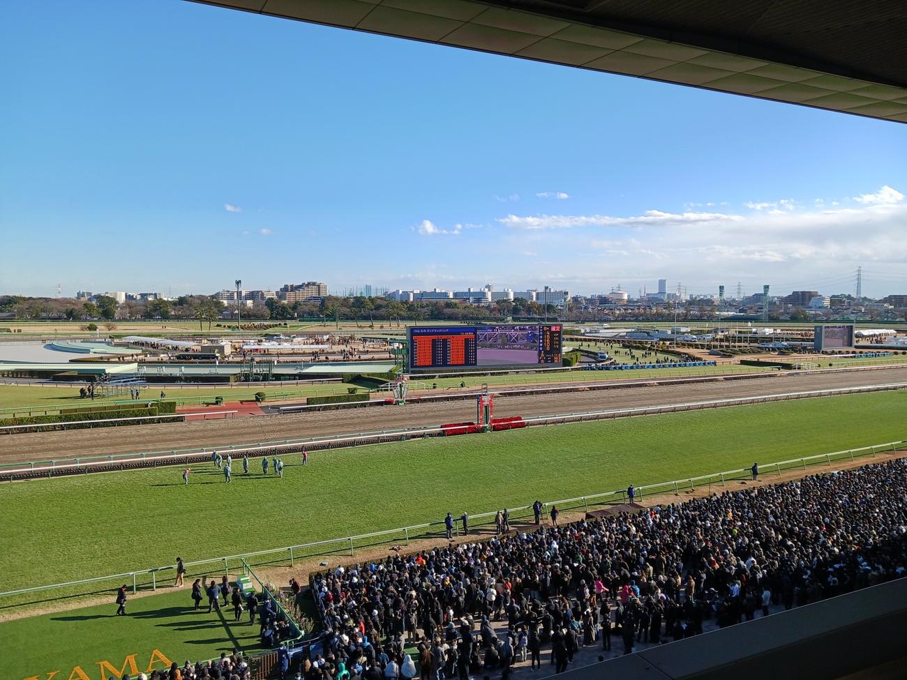有馬記念当日の中山競馬場（撮影・奥田隼人）