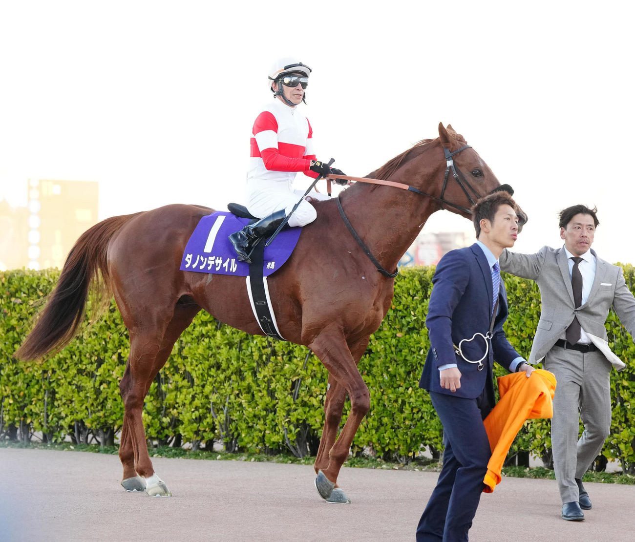 有馬記念で3着となったダノンデサイルと横山典騎手（撮影・江口和貴）