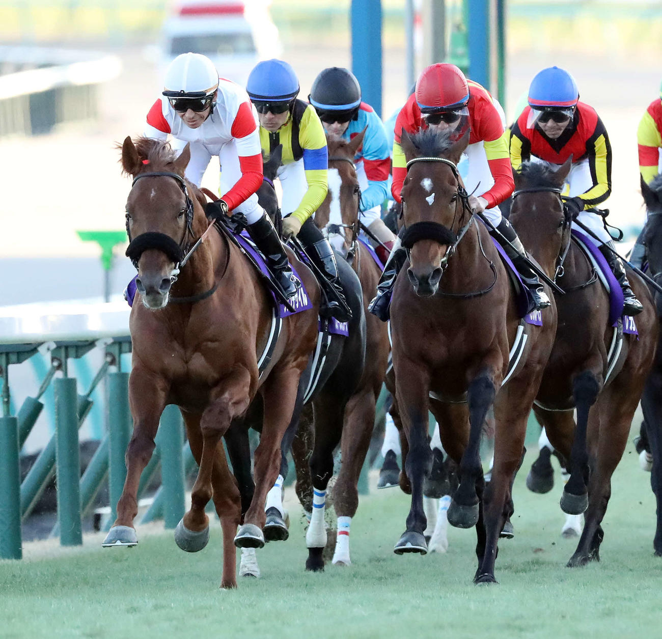 レースを引っ張った横山親子が騎乗するダノンデサイル（左）とベラジオオペラ（右）（撮影・丹羽敏通）