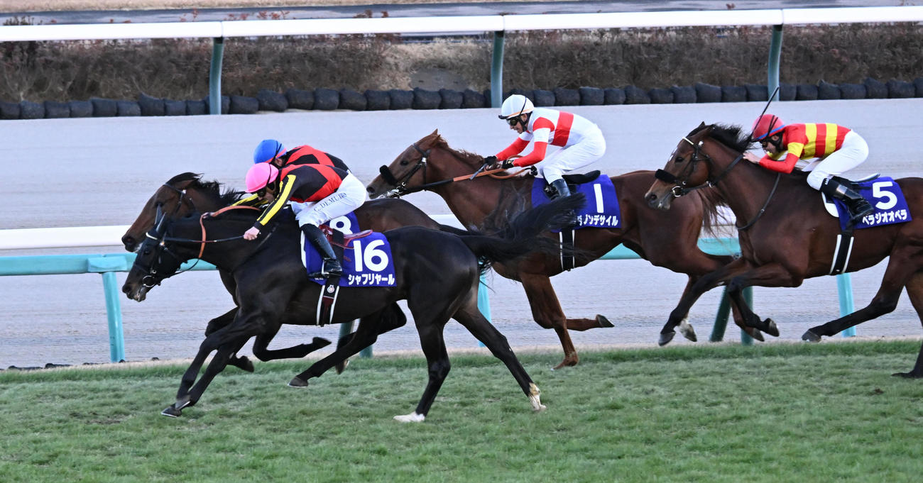 有馬記念で2着に入ったシャフリヤールとC・デムーロ騎手（撮影・千葉一成）