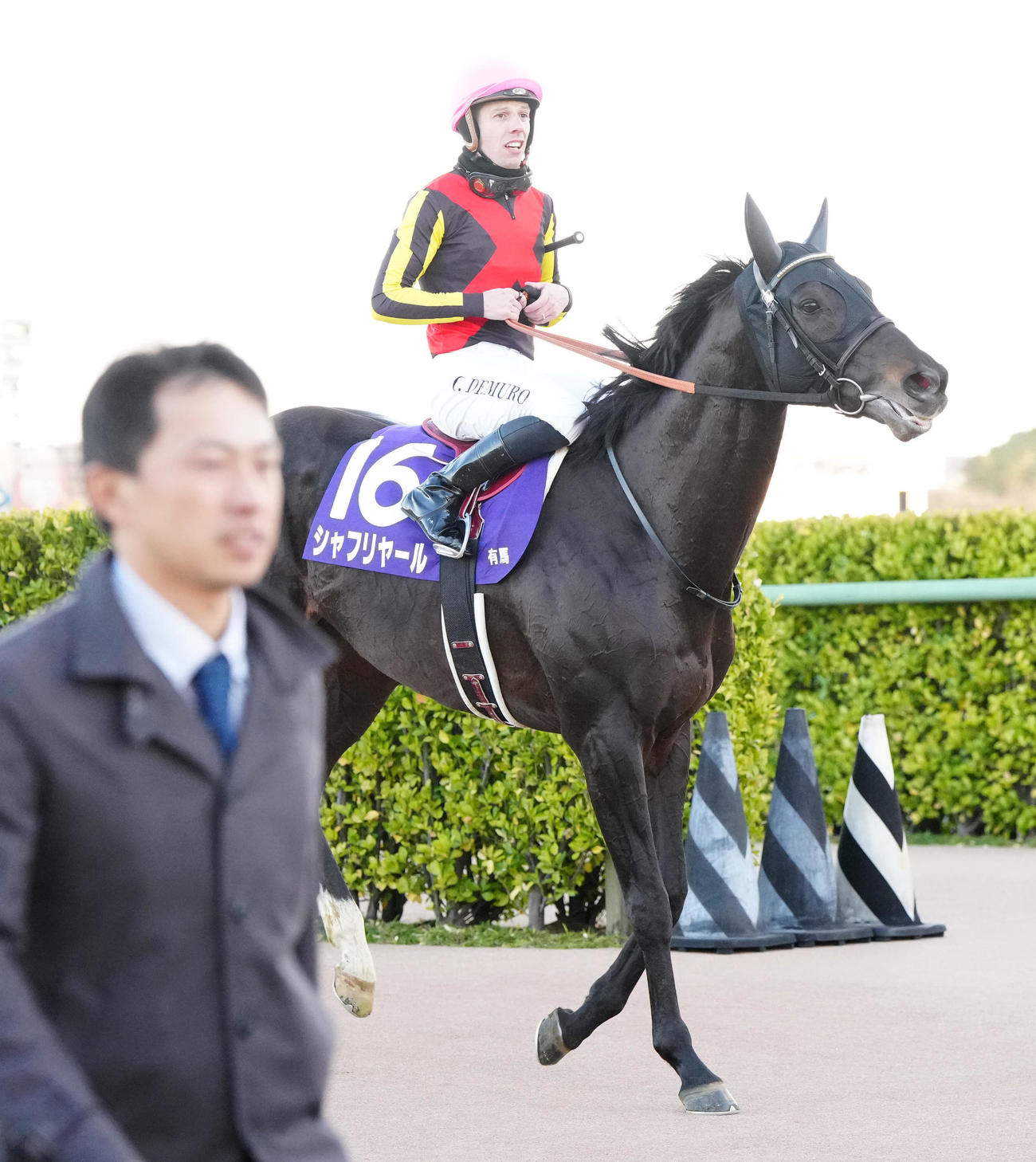 有馬記念で2着となったシャフリヤールとC・デムーロ騎手（撮影・江口和貴）