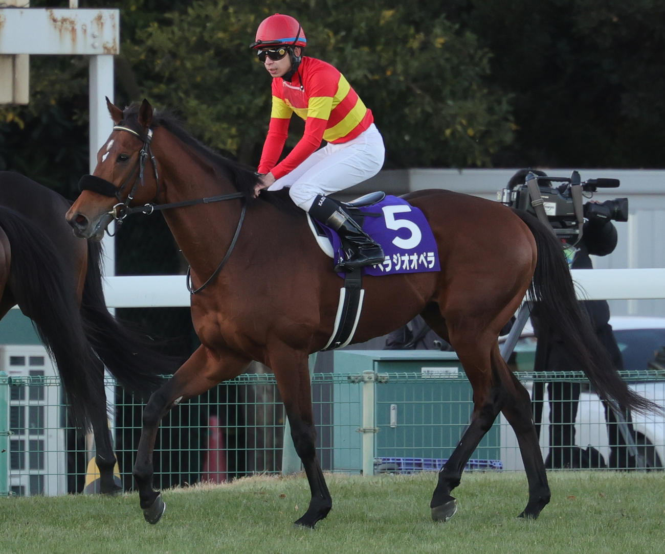 有馬記念で4着に終わったベラジオオペラと横山和騎手（撮影・野上伸悟）