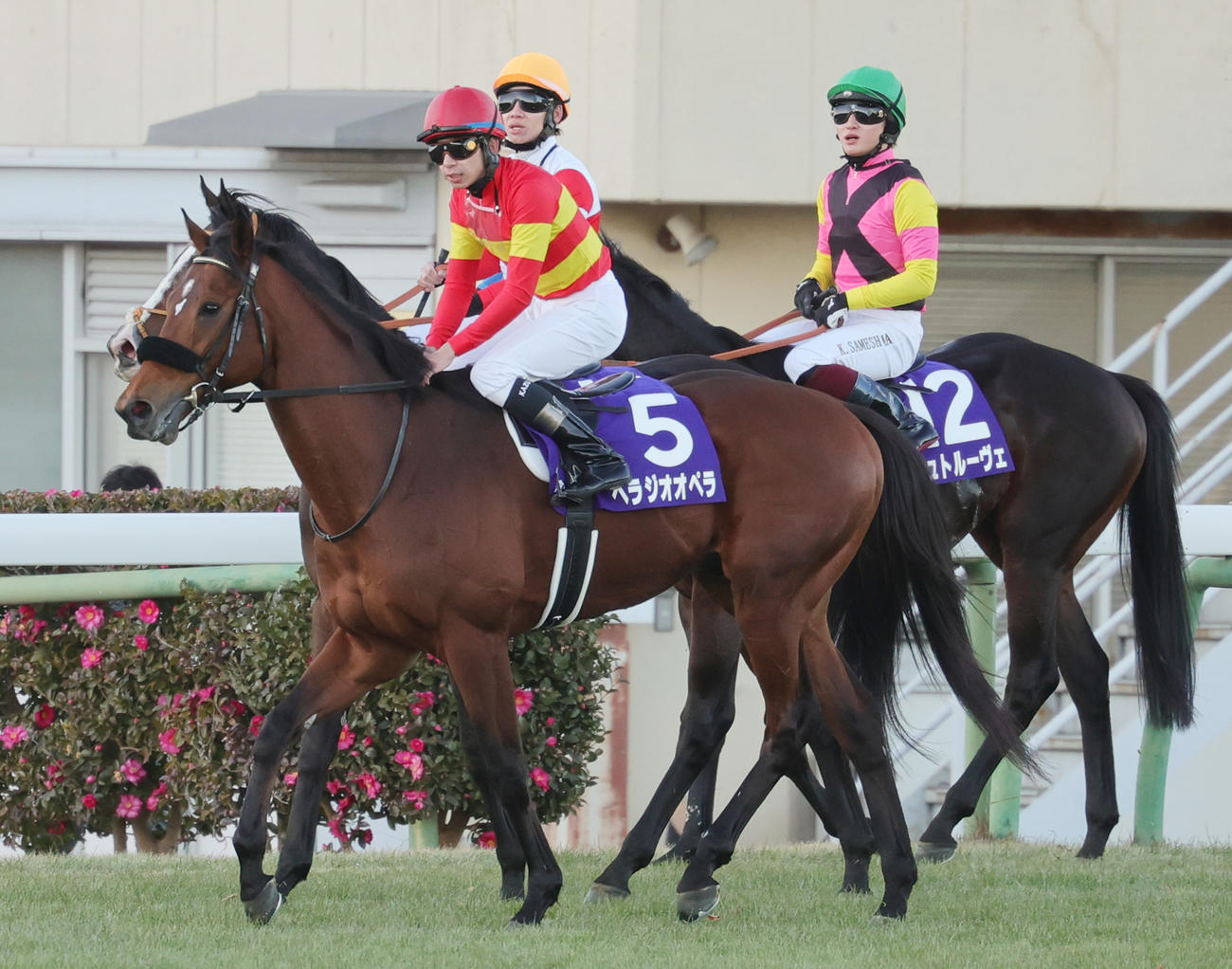 有馬記念で4着に終わったベラジオオペラと横山和騎手（撮影・野上伸悟）