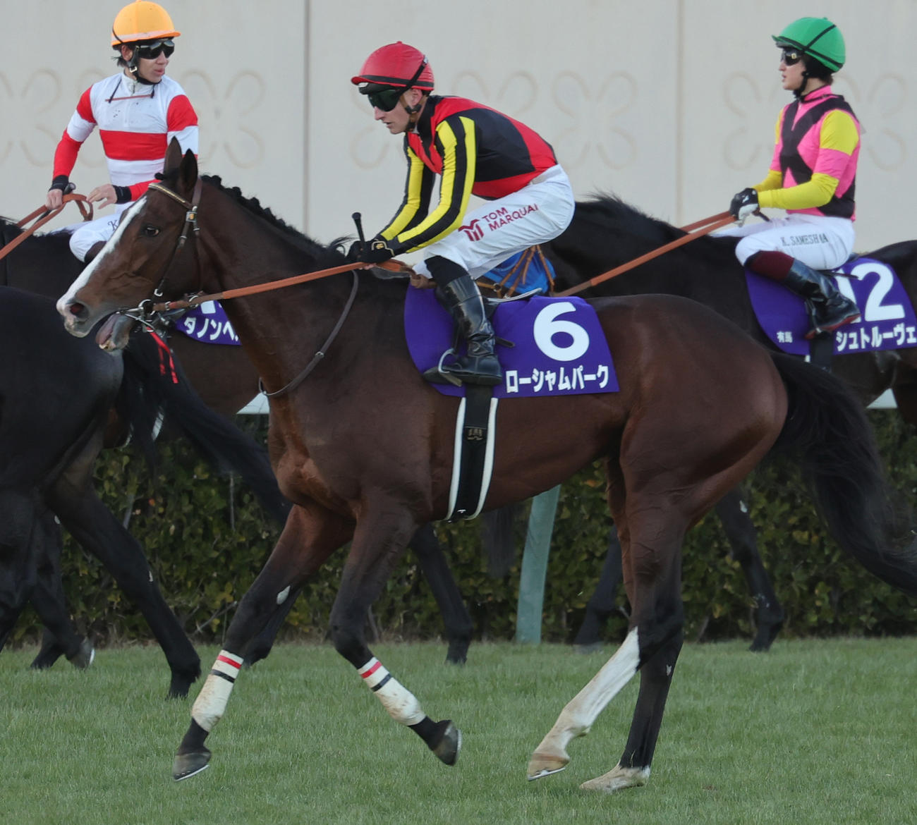 有馬記念で7着に終わったローシャムパークとマーカンド騎手（撮影・野上伸悟）