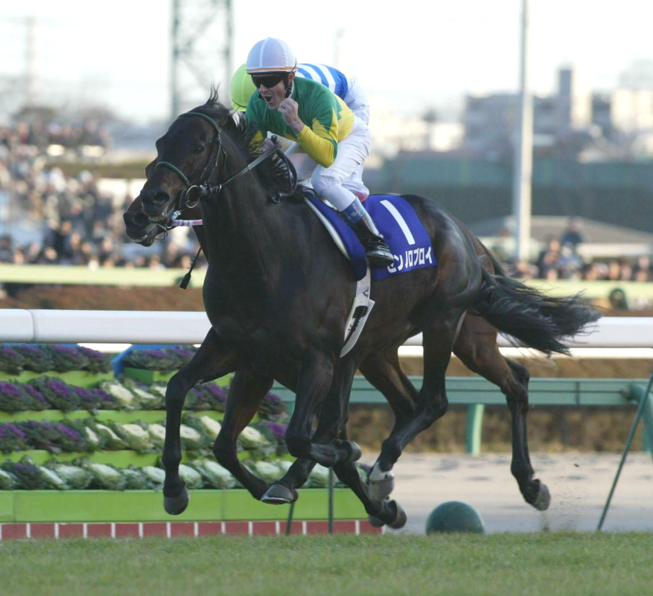04年の有馬記念を制し秋古馬3冠を達成したゼンノロブロイ。鞍上のペリエ騎手はガッツポーズ