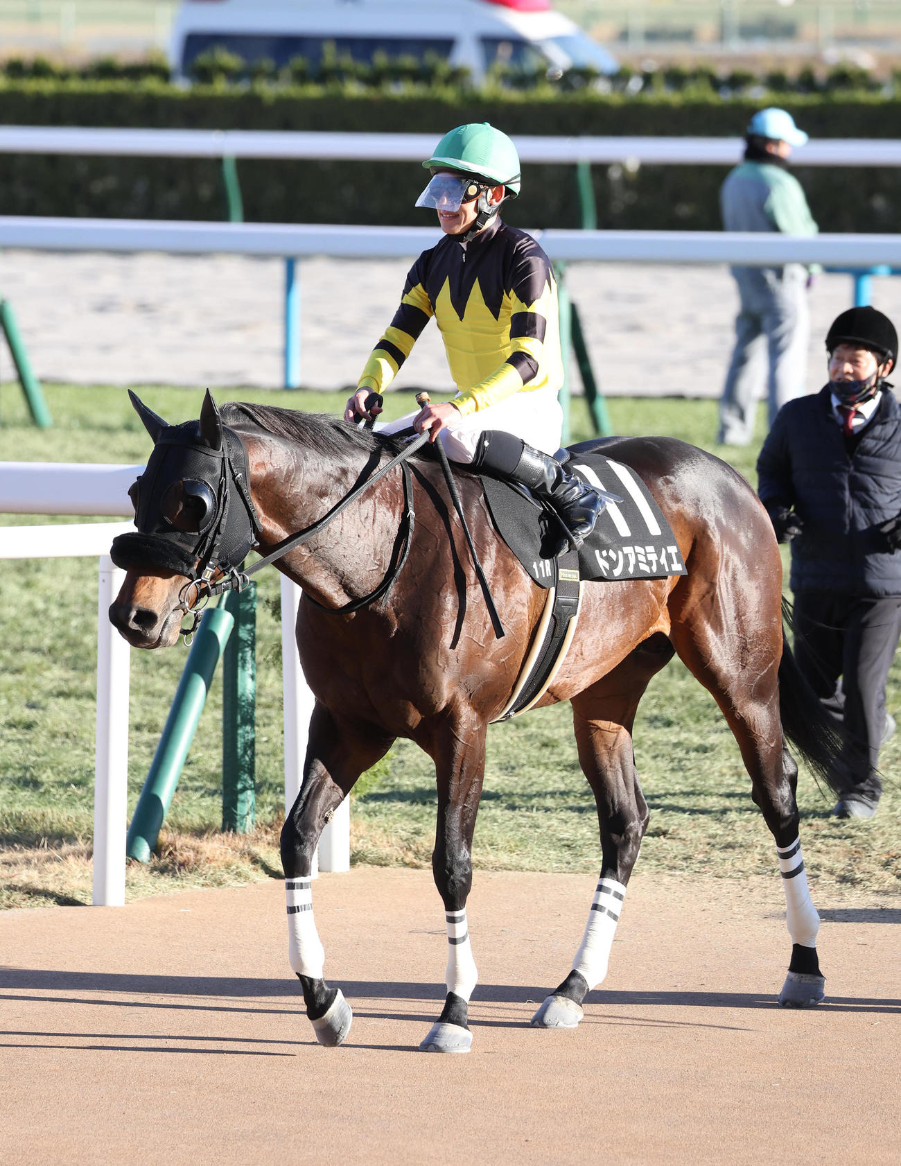 京都11R、りんくうSを制したドンアミティエ（撮影・白石智彦）