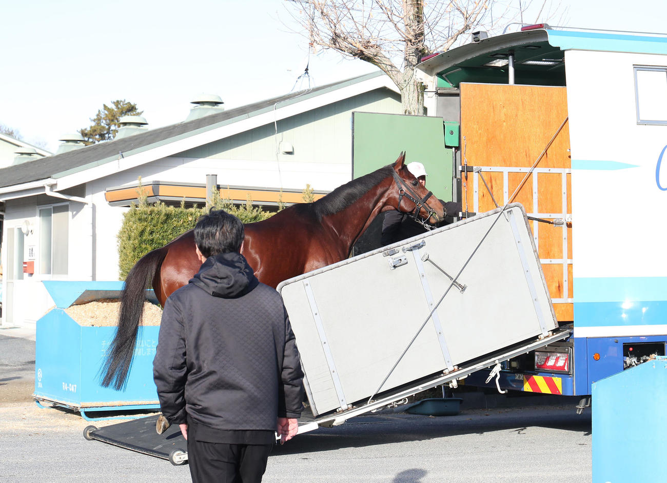 馬運車に乗り込むドウデュース（撮影・白石智彦）