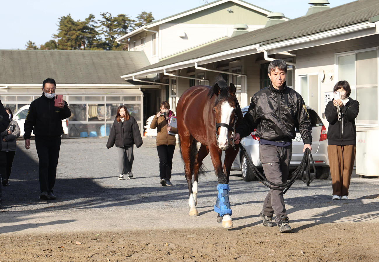 馬運車に向かうメロディーレーン（撮影・白石智彦）