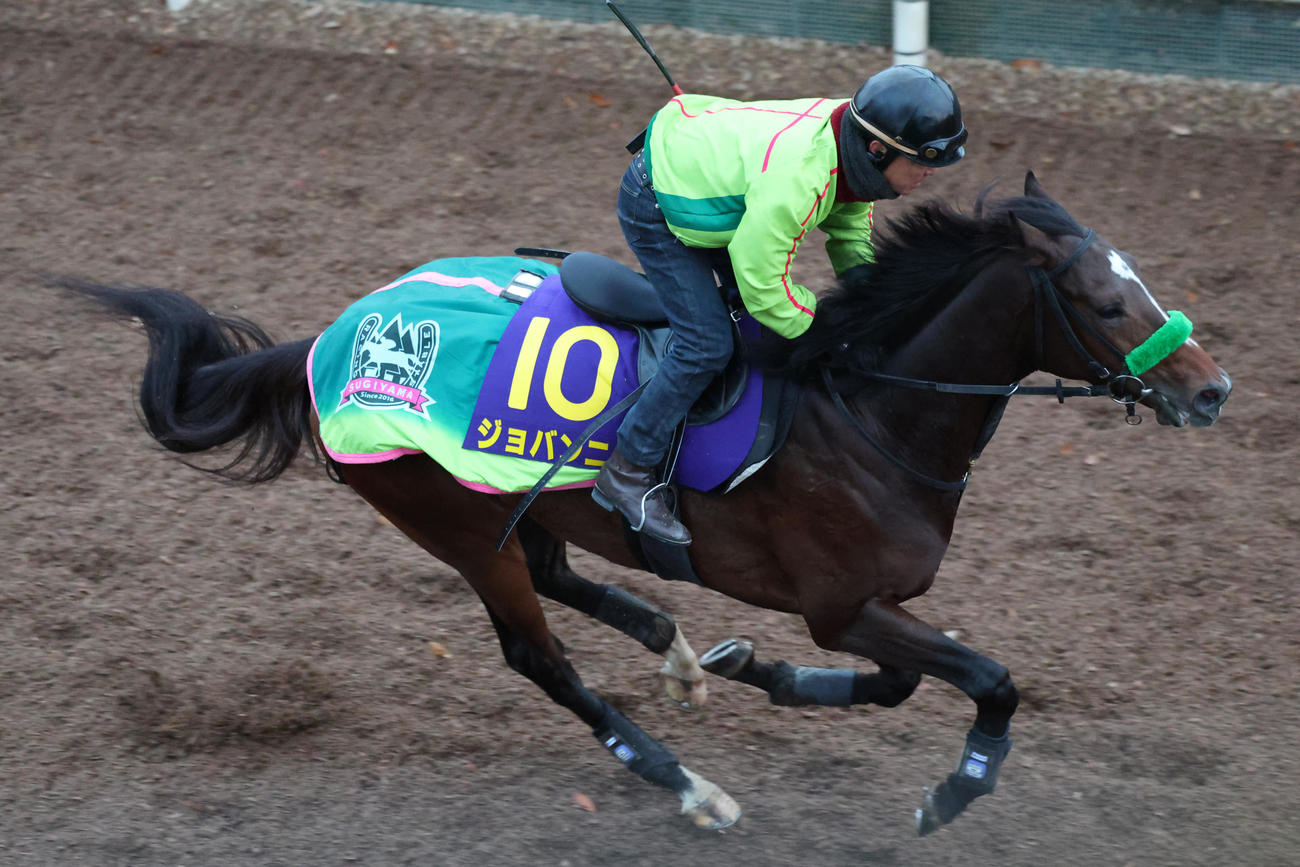 坂路で追い切るジョバンニ