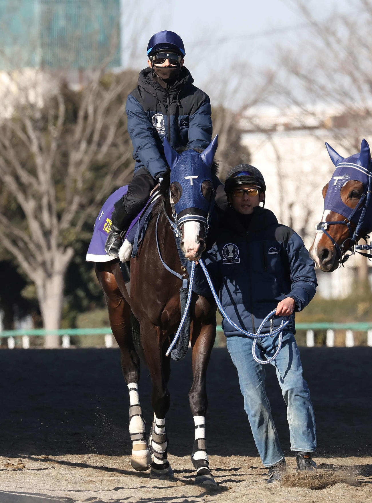 馬場へ向かうマスカレードボールと嶋田騎手（撮影・丹羽敏通）