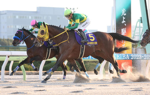 東京大賞典】枠順発表！ 3連覇狙うウシュバテソーロは10番