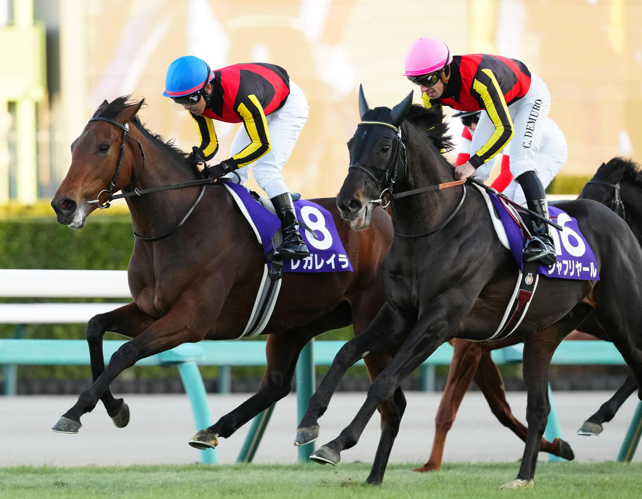 有馬記念を制したレガレイラと戸崎騎手（左）。右は2着のシャフリヤールとC・デムーロ騎手（2024年12月22日撮影）