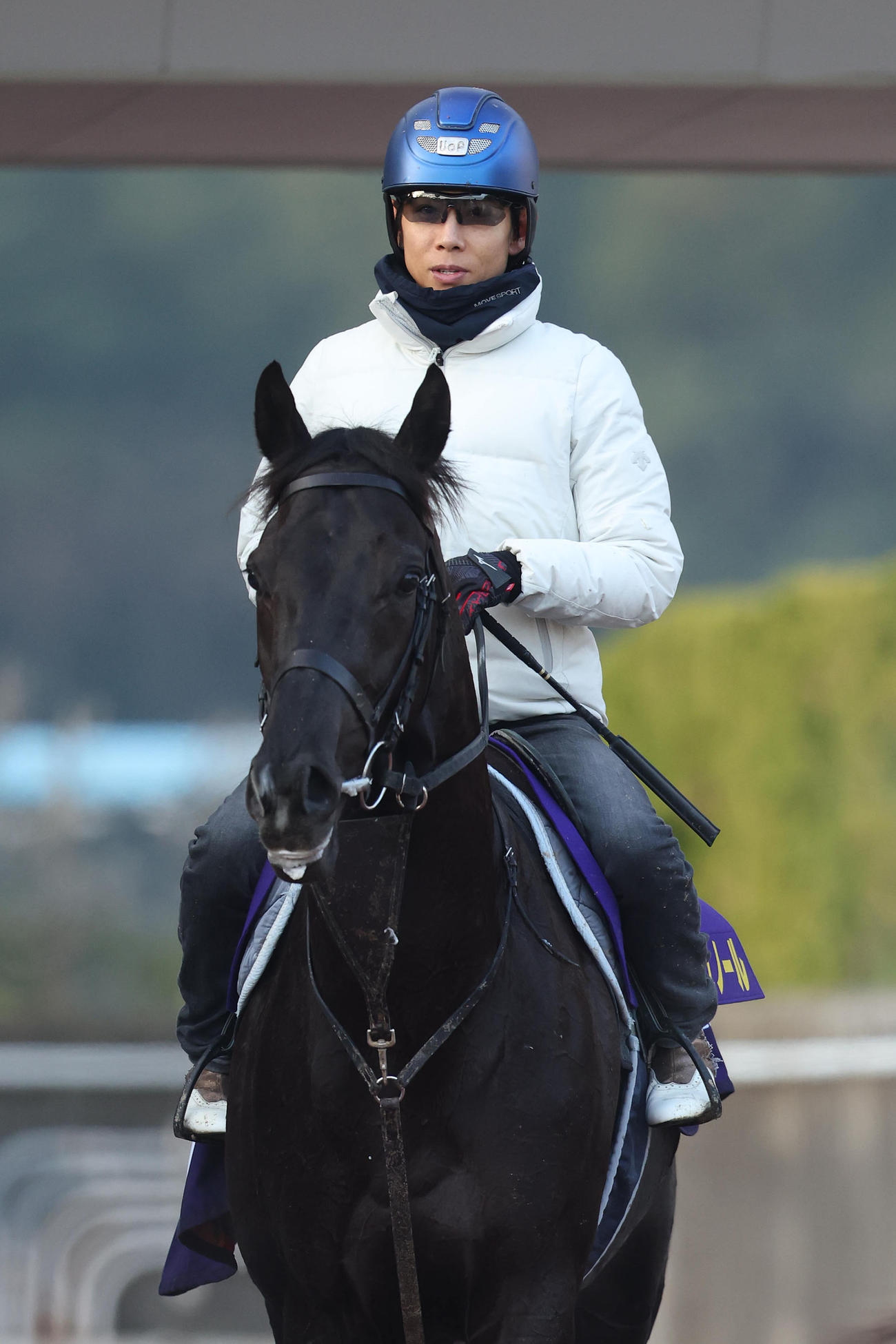 北村友騎手を背に調教から引き揚げるクロワデュノール（撮影・白石智彦）