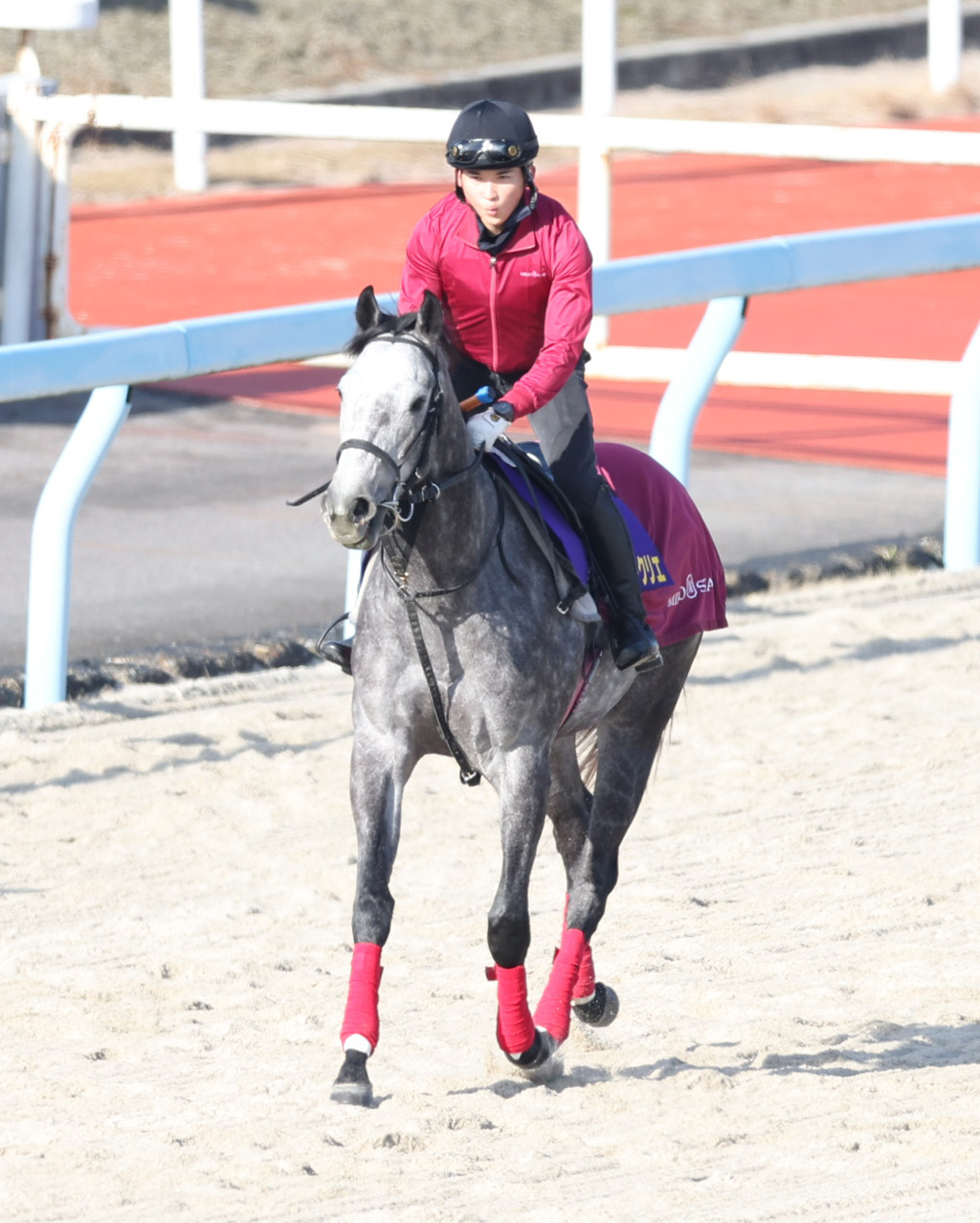 追い切り前に運動するヤマニンブークリエ