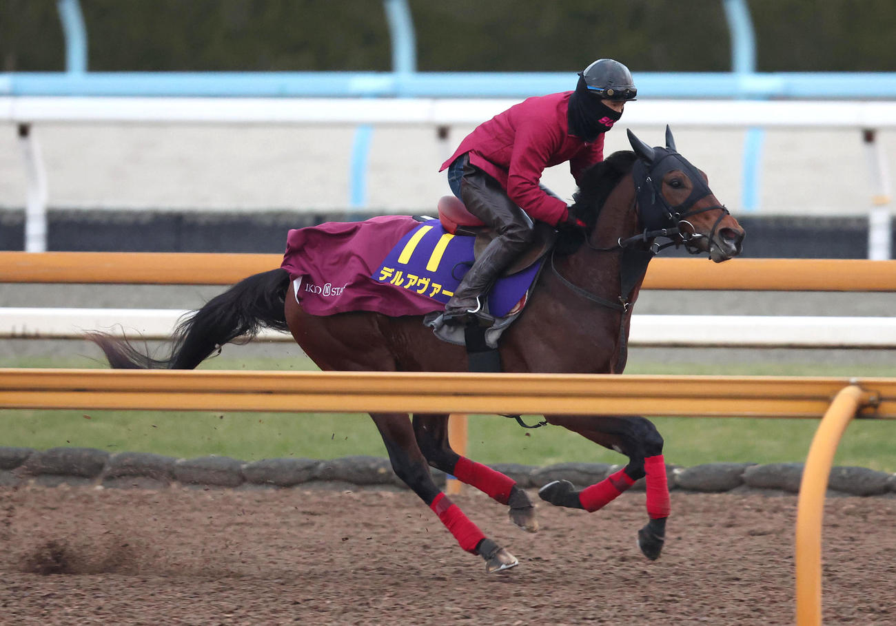 Cウッドを単走で追い切るデルアヴァー（撮影・白石智彦）