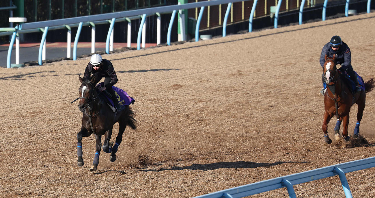 ジュンアサヒソラ（左）は横山和騎手を背に美浦ウッドで追い切られ、僚馬を突き放した（撮影・丹羽敏通）