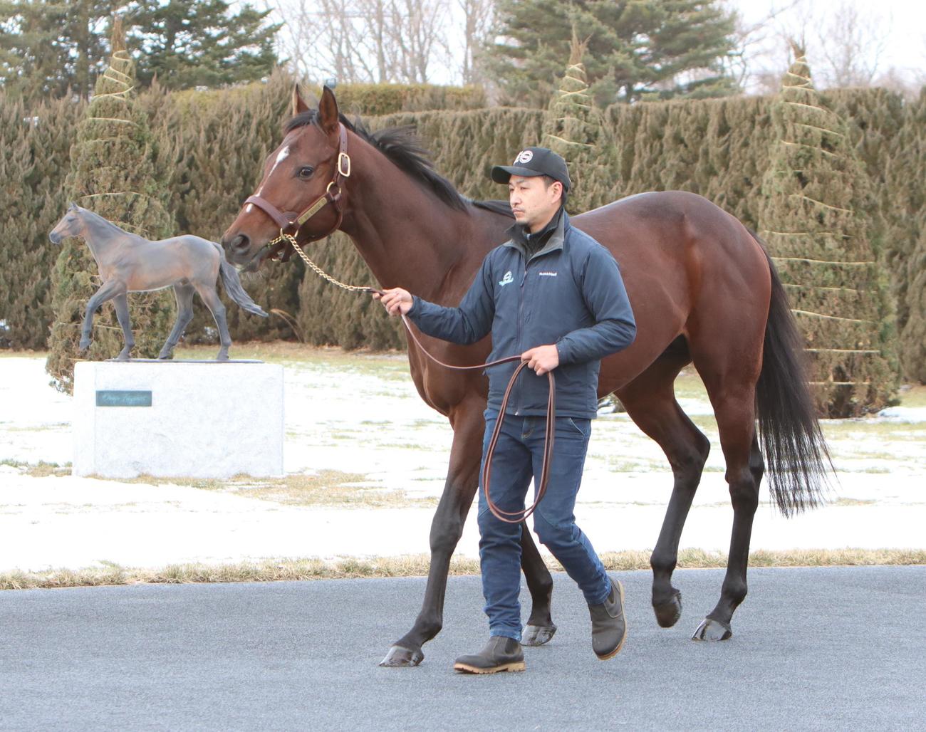 ディープインパクト馬像の前を周回するドウデュース（撮影・奥村晶治）