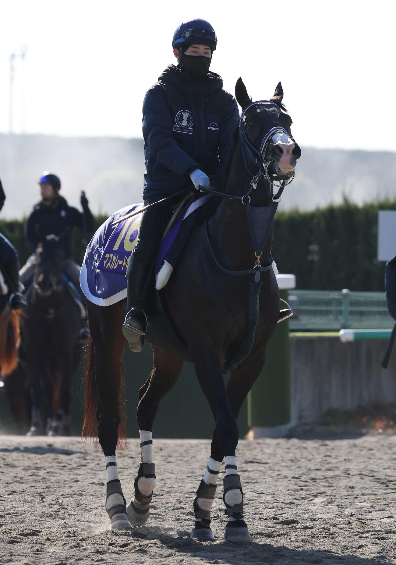 25日の栗東、追い切りを終えて馬場を出るマスカレードボール
