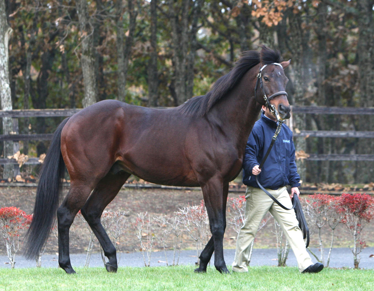 ダ*ー様 アドマイヤムーン 競馬 ブルゾン 07年の年度代表馬アドマイヤムーンが種牡馬引退、2頭の短距離G1馬を