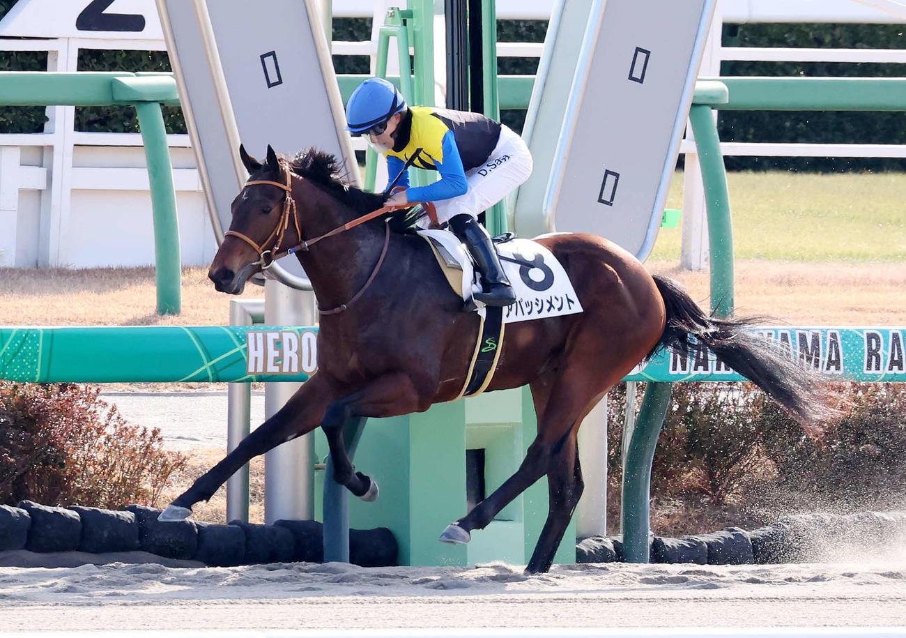中山1R、2歳未勝利戦を制したアパッシメントと佐々木騎手（撮影・丹羽敏通）