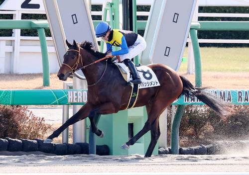 堀宣行調教師がJRA800勝達成「ファンの皆さまの応援あってこそ」現役7