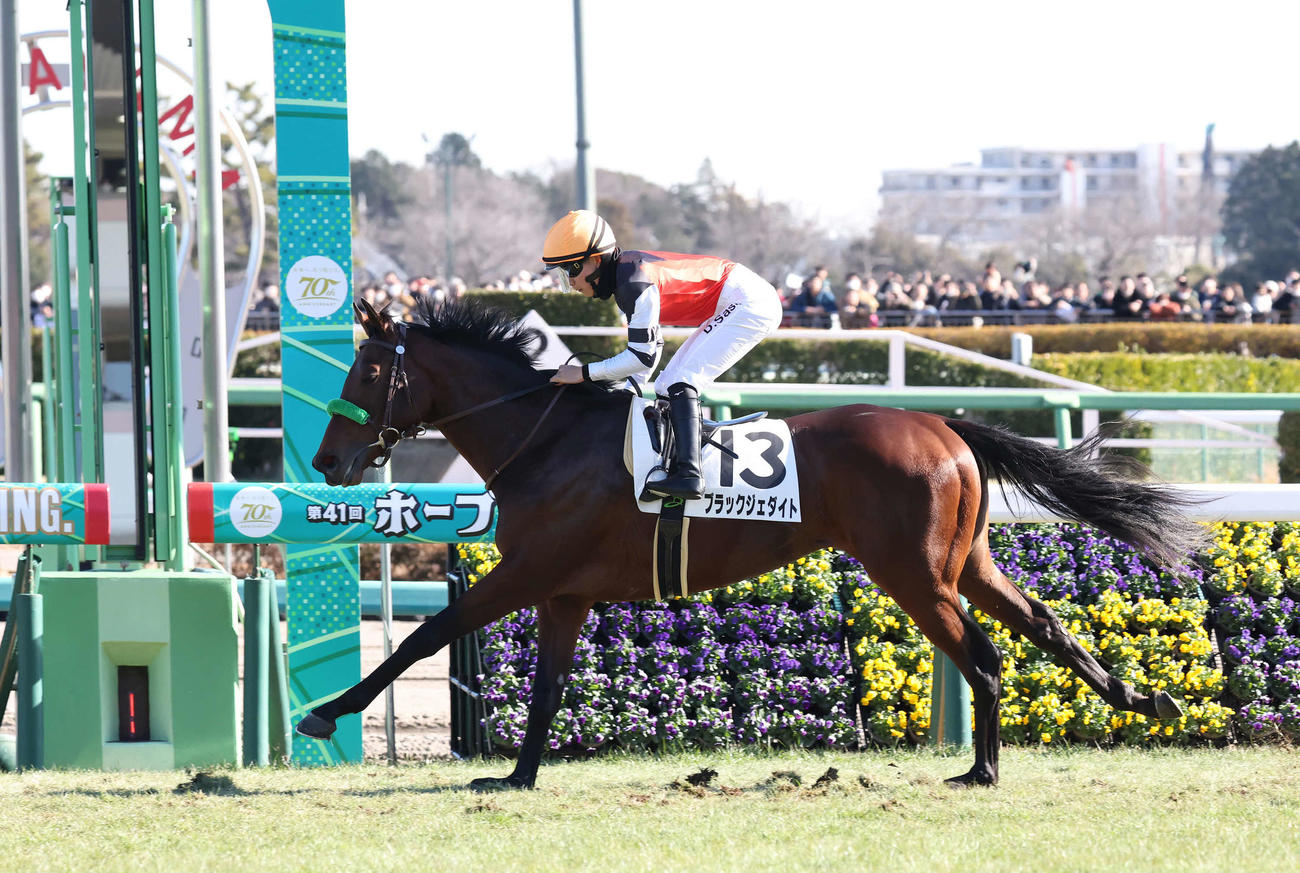 中山5R、2歳新馬戦を制したブラックジェダイトと佐々木騎手（撮影・丹羽敏通）