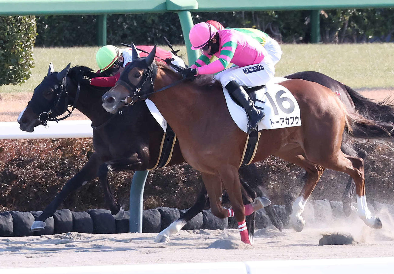 中山6R、新馬戦を制したドルンレースツェンと池添騎手（左）（撮影・丹羽敏通）
