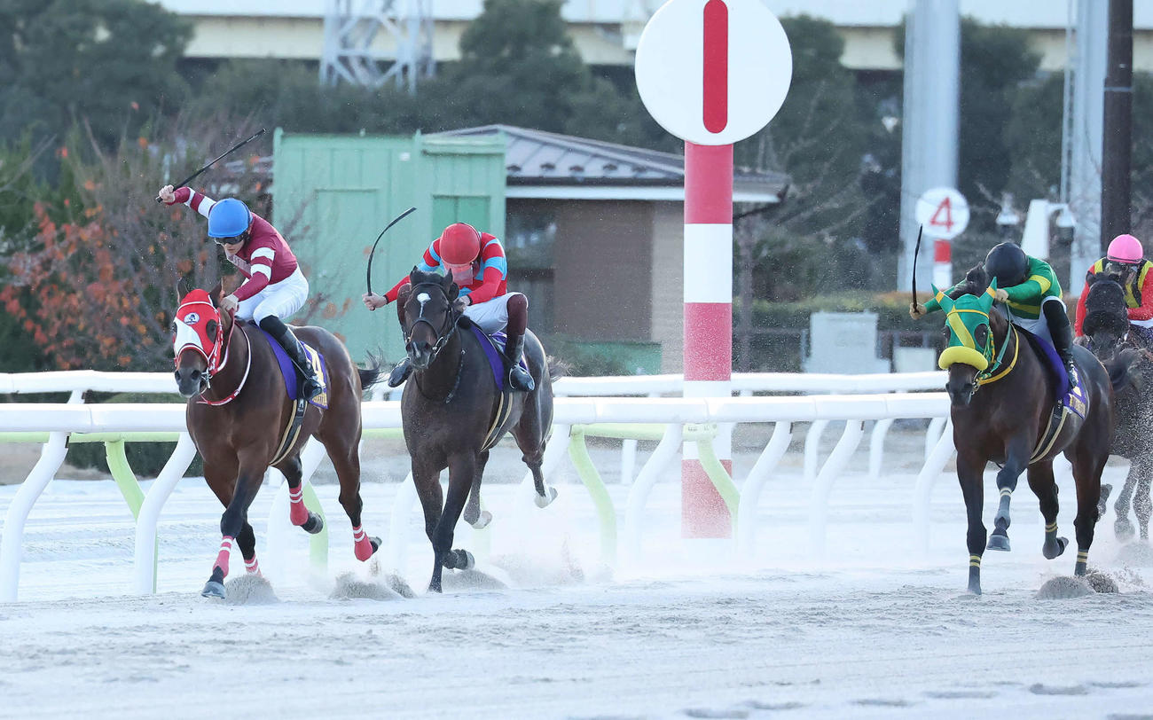 東京大賞典を制したフォーエバーヤングと坂井騎手（左）。右へ3着ラムジェット、2着ウィルソンテソーロ（撮影・丹羽敏通）