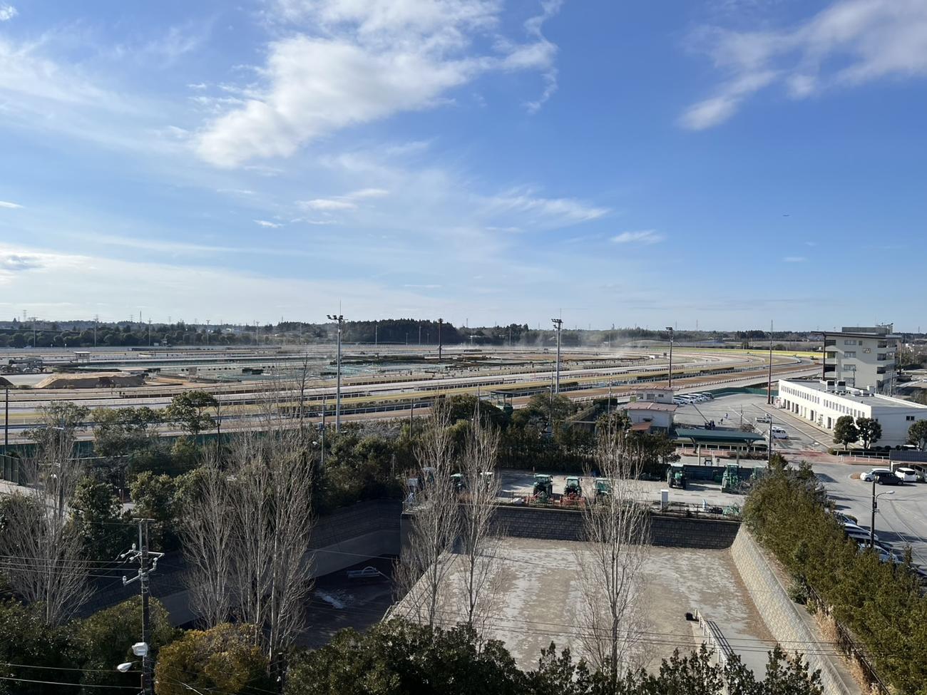 冬空の美浦トレセン