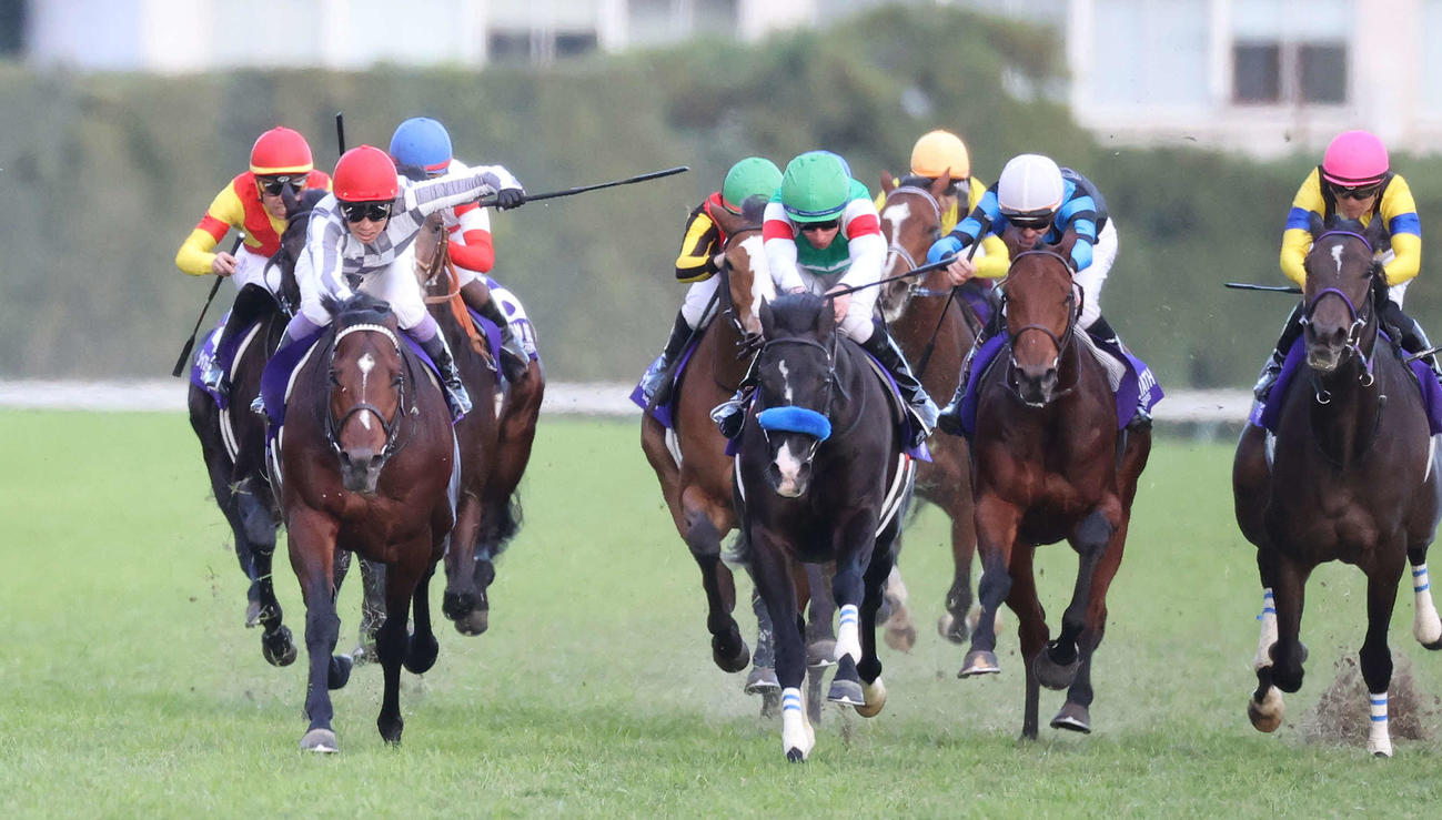 ジャパンC制したドウデュースと武豊騎手（左）。右へ2着ドゥレッツァ、6着ゴリアット、7着スターズオンアース