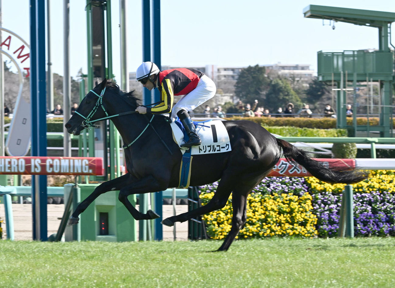 24年12月、中山5R、2新馬戦を制したトリプルコーク