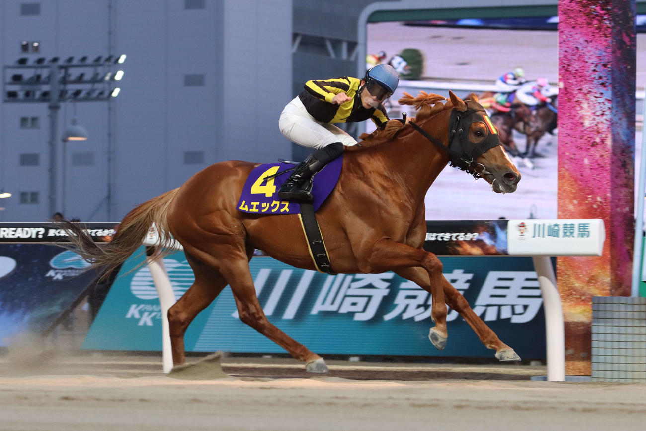 2番手から抜け出し川崎マイラーズを制したムエックスと張田昂騎手