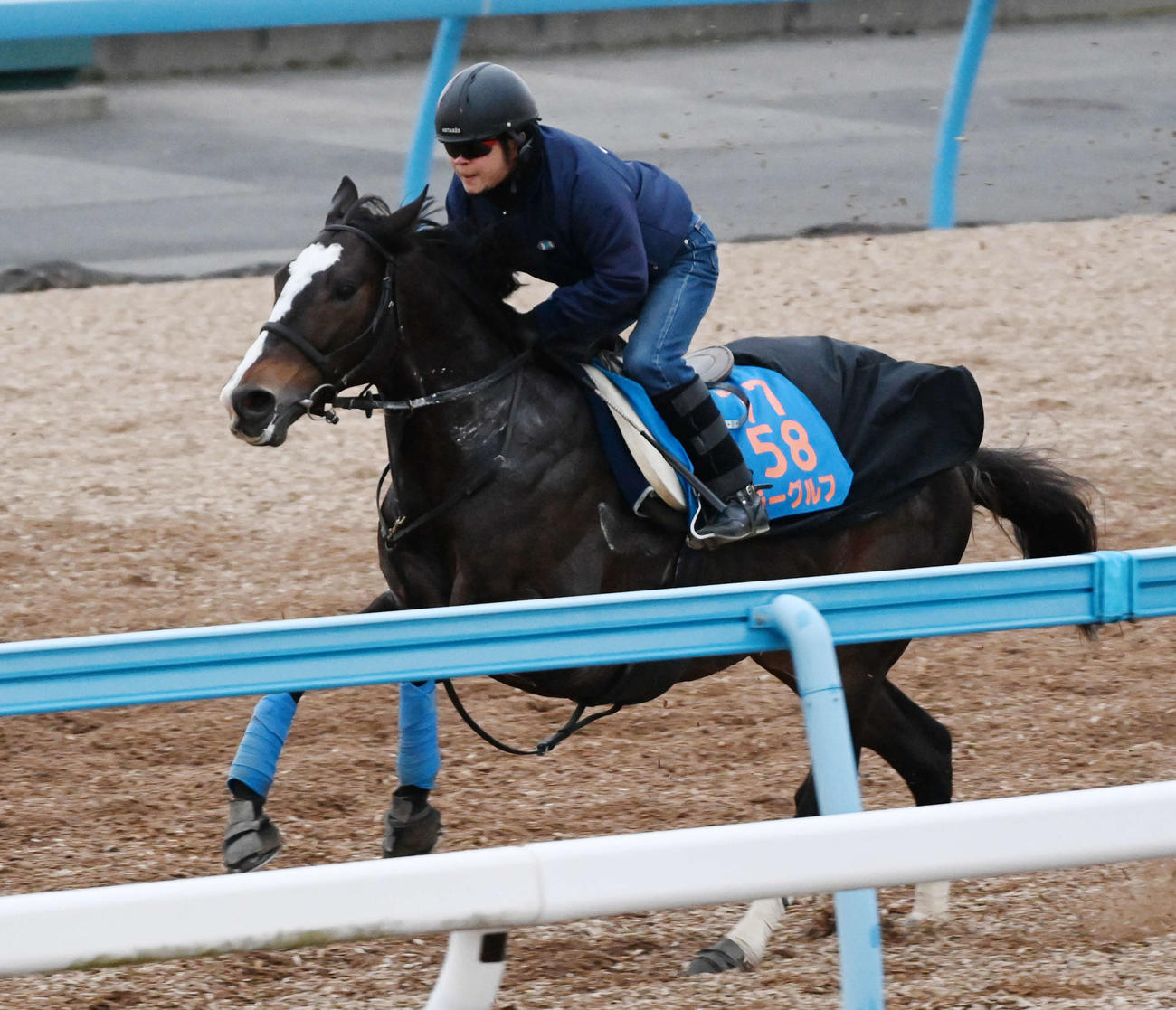 美浦ウッドで追い切るラーグルフ（撮影・柴田隆二）