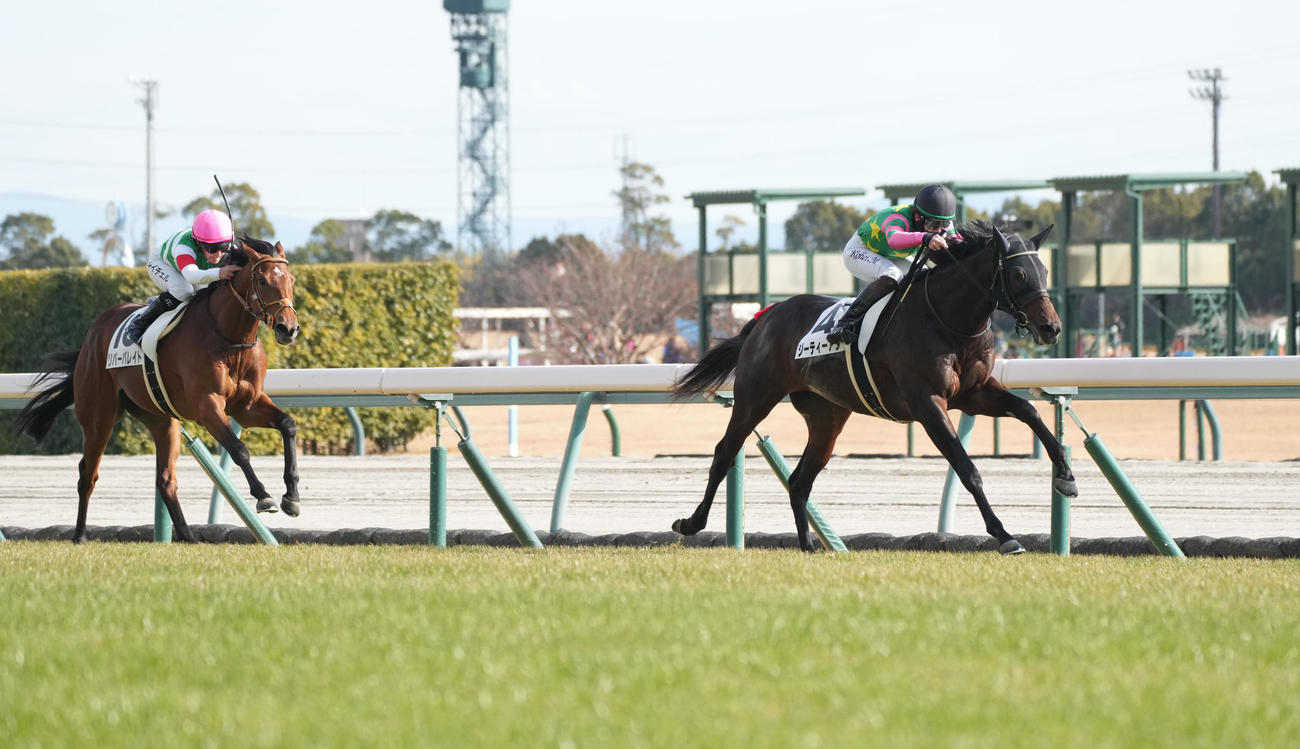 中京5R、3歳新馬戦を制したジーティーアダマン（右）（撮影・森本幸一）