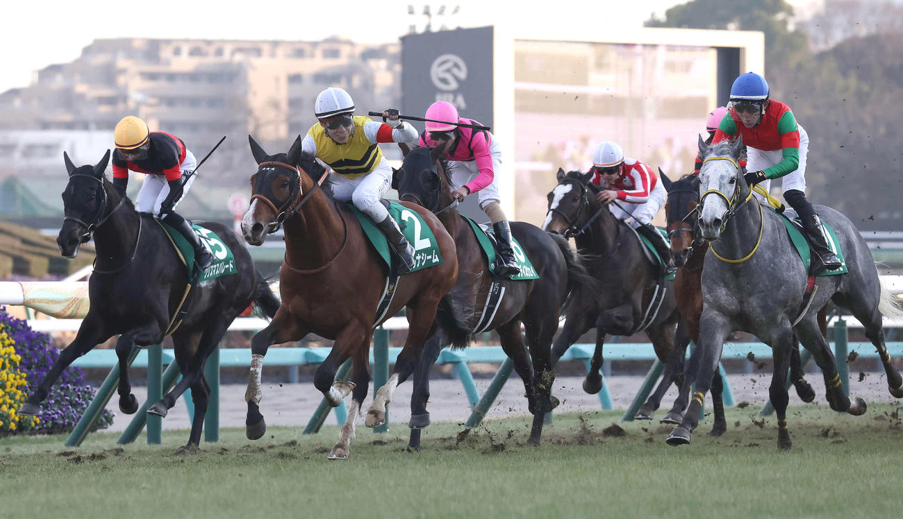 中山11R、アルナシームで中山金杯を制してガッツポーズを決める藤岡佑騎手（左から2頭目）。左端は4着クリスマスパレード、右端は2着マイネルモーント（撮影・丹羽敏通）
