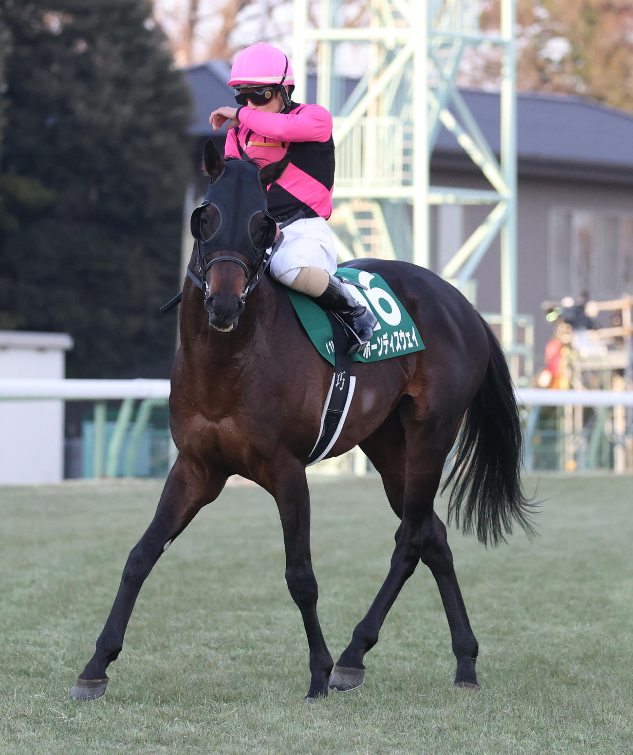 日刊スポーツ賞中山金杯で3着のボーンディスウェイと木幡巧騎手（撮影・柴田隆二）