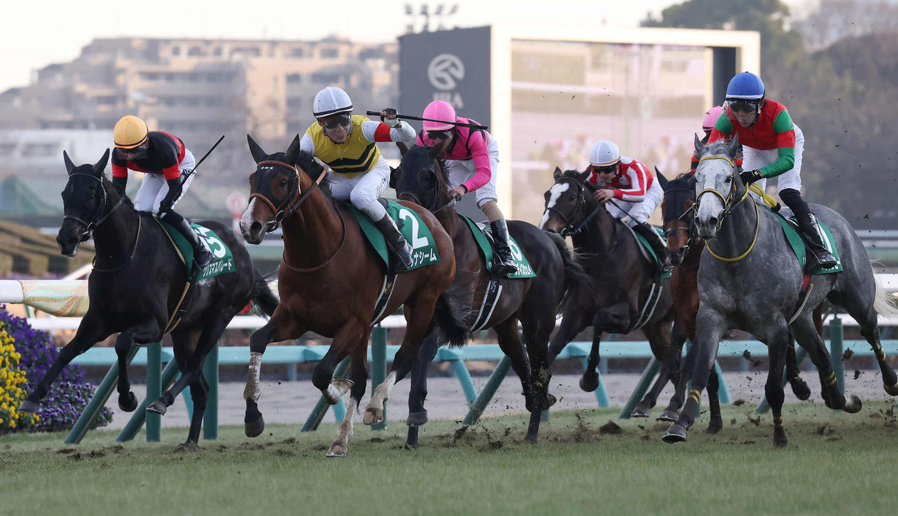 アルナシームで中山金杯を制しガッツポーズをする藤岡佑騎手（左から2頭目）右端は2着マイネルモーント