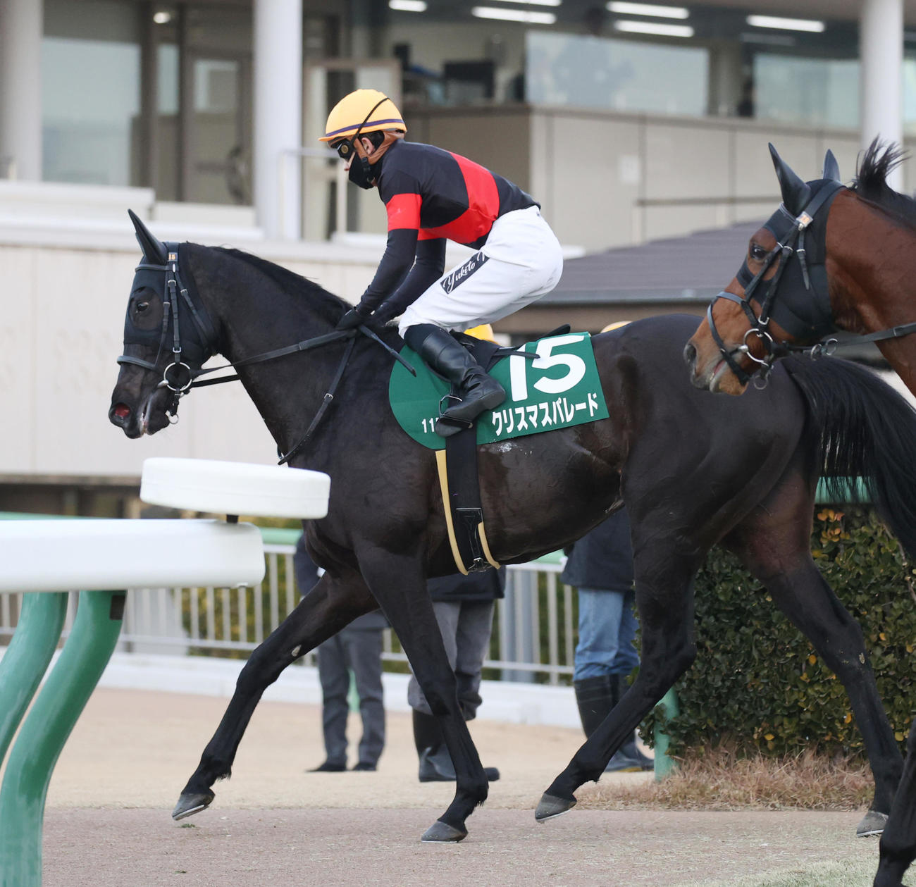 日刊スポーツ賞中山金杯で4着のクリスマスパレードと石川騎手（撮影・柴田隆二）