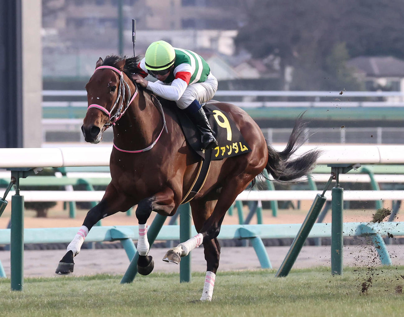 中山10R、ジュニアCを制したファンダムと北村宏騎手（撮影・丹羽敏通）