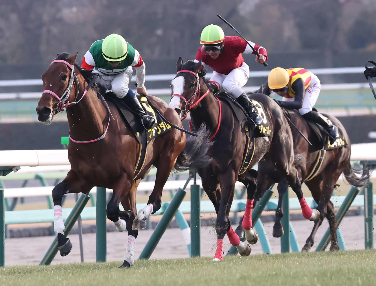 中山10R、ジュニアCを制したファンダムと北村宏騎手（撮影・丹羽敏通）