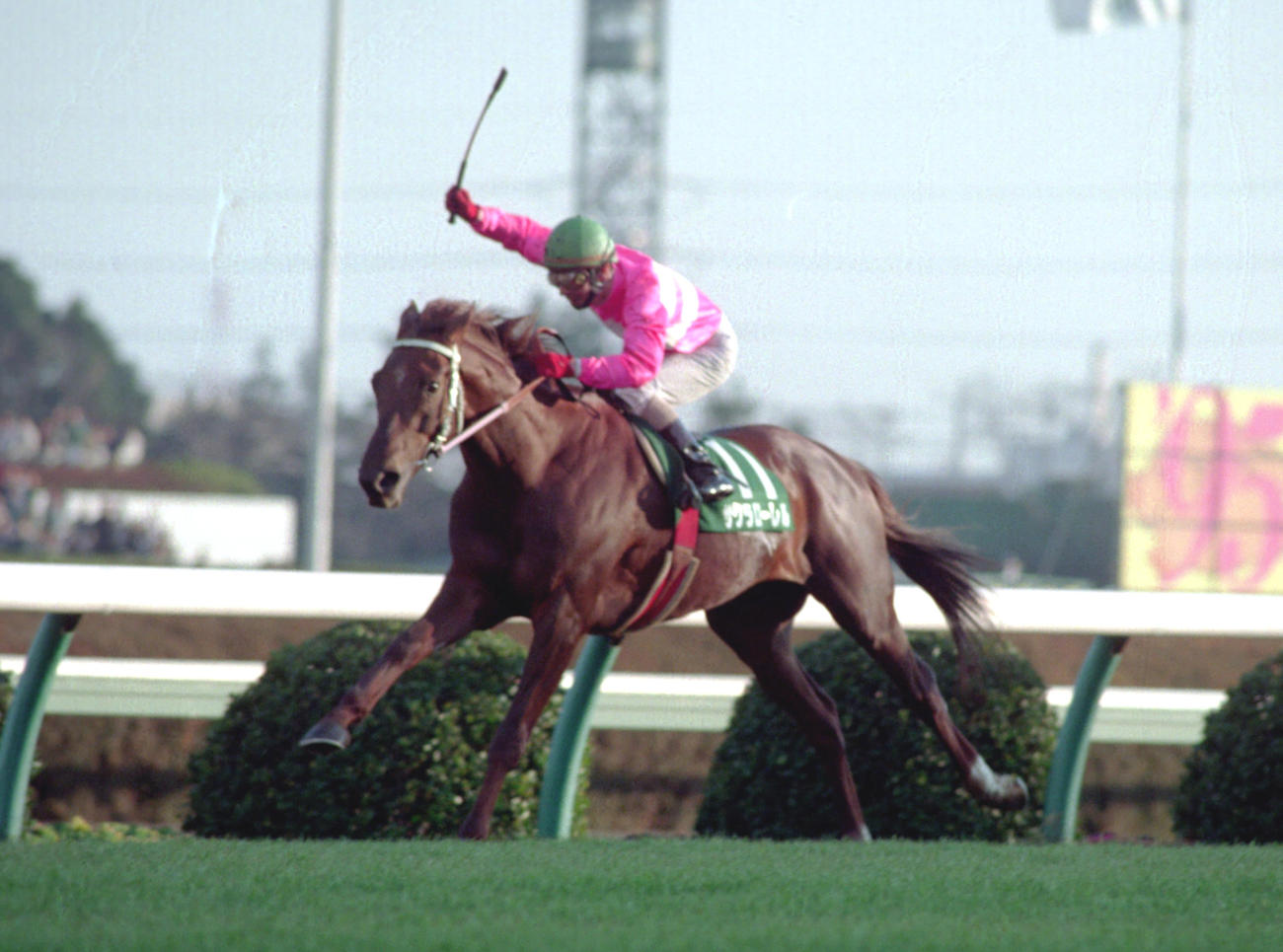 95年金杯（東）を制したサクラローレル